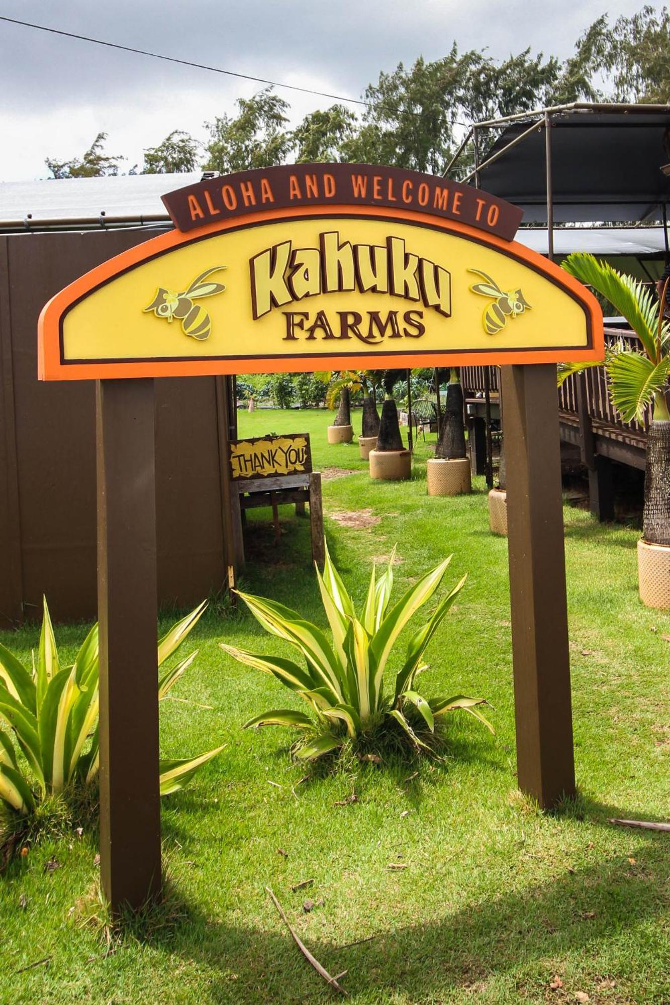Naupaka Breeze Ocean View Ac 30 Day Stay Specials! Laie Exterior foto